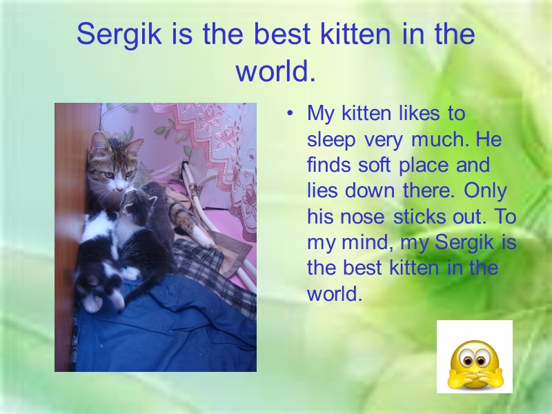 Sergik is the best kitten in the world. My kitten likes to sleep very